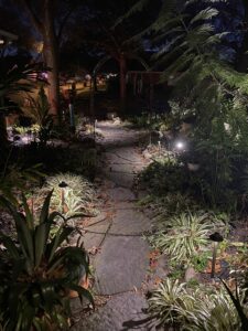 Backyard path lighting